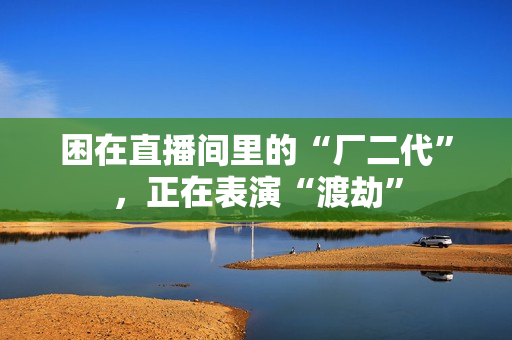 困在直播间里的“厂二代”，正在表演“渡劫”