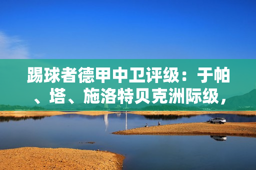 踢球者德甲中卫评级：于帕、塔、施洛特贝克洲际级，金玟哉国脚级