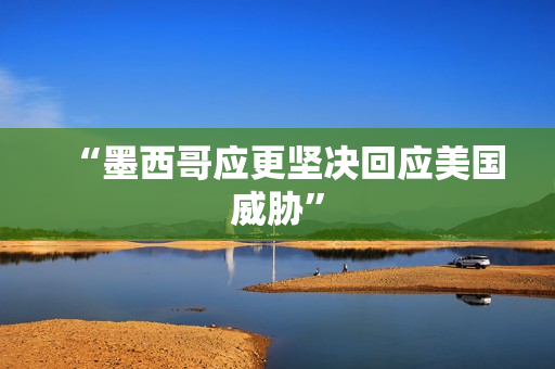 “墨西哥应更坚决回应美国威胁”