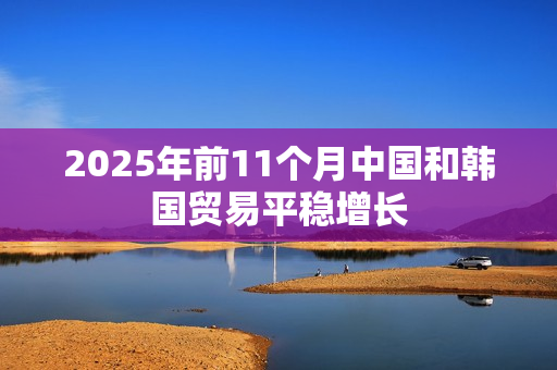 2025年前11个月中国和韩国贸易平稳增长