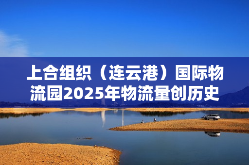 上合组织（连云港）国际物流园2025年物流量创历史新高