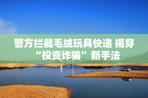 警方拦截毛绒玩具快递 揭穿“投资诈骗”新手法