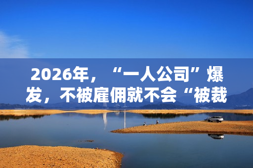 2026年，“一人公司”爆发，不被雇佣就不会“被裁”