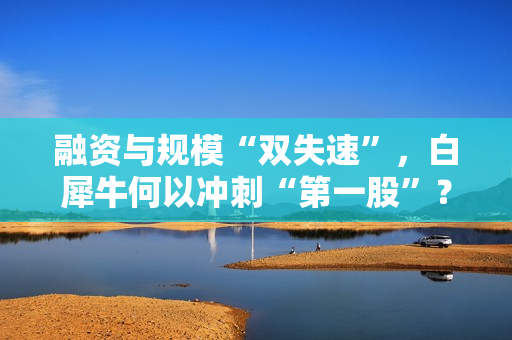 融资与规模“双失速”，白犀牛何以冲刺“第一股”？