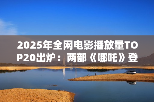 2025年全网电影播放量TOP20出炉：两部《哪吒》登顶