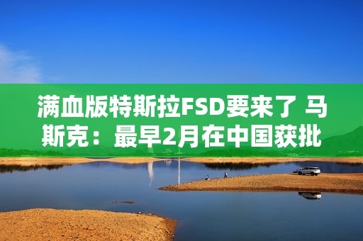 满血版特斯拉FSD要来了 马斯克：最早2月在中国获批