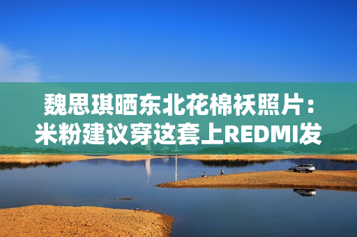 魏思琪晒东北花棉袄照片：米粉建议穿这套上REDMI发布会