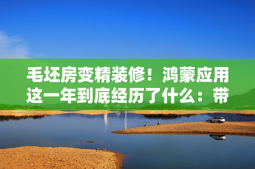 毛坯房变精装修！鸿蒙应用这一年到底经历了什么：带你们来感受下