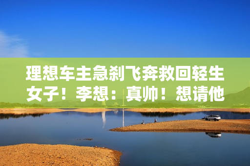 理想车主急刹飞奔救回轻生女子！李想：真帅！想请他吃个饭