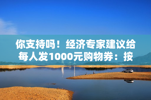 你支持吗！经济专家建议给每人发1000元购物券：按身份证发、没任何限制