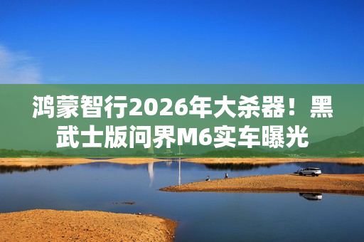 鸿蒙智行2026年大杀器！黑武士版问界M6实车曝光