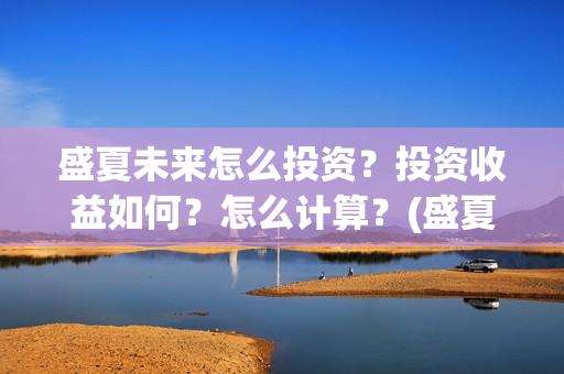 盛夏未来怎么投资？投资收益如何？怎么计算？(盛夏未来怎么了)