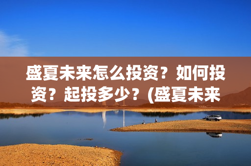 盛夏未来怎么投资？如何投资？起投多少？(盛夏未来怎么过审的)