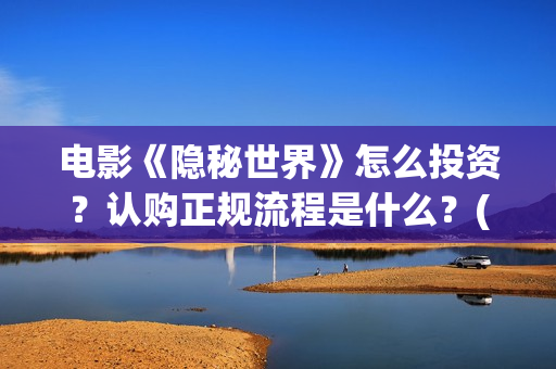 电影《隐秘世界》怎么投资？认购正规流程是什么？(隐秘世界电视剧)