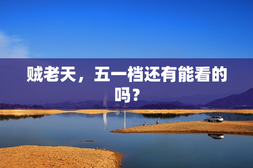 贼老天，五一档还有能看的吗？