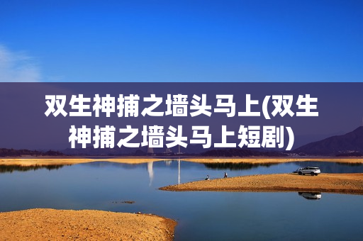 双生神捕之墙头马上(双生神捕之墙头马上短剧)