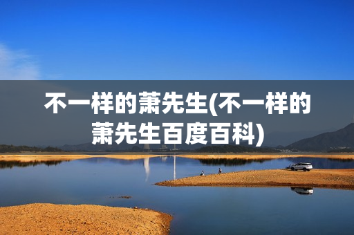 不一样的萧先生(不一样的萧先生百度百科)