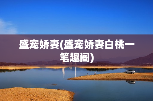 盛宠娇妻(盛宠娇妻白桃一笔趣阁)