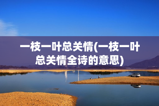 一枝一叶总关情(一枝一叶总关情全诗的意思)