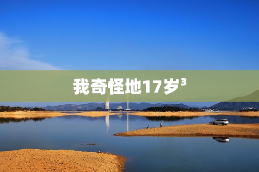我奇怪地17岁³