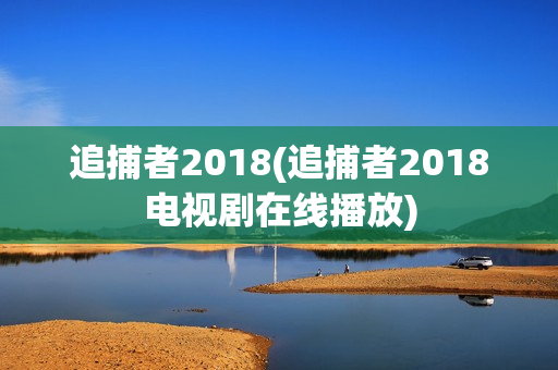 追捕者2018(追捕者2018电视剧在线播放)