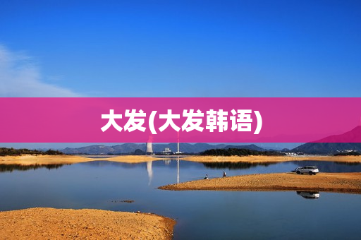 大发(大发韩语)