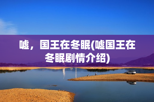 嘘，国王在冬眠(嘘国王在冬眠剧情介绍)