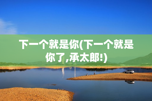 下一个就是你(下一个就是你了,承太郎!)
