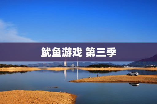 鱿鱼游戏 第三季
