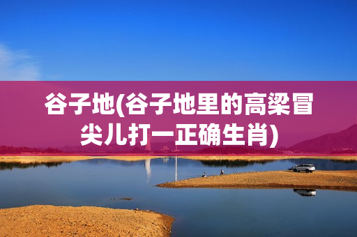 谷子地(谷子地里的高梁冒尖儿打一正确生肖)