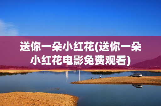 送你一朵小红花(送你一朵小红花电影免费观看)