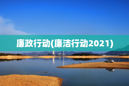 廉政行动(廉洁行动2021)