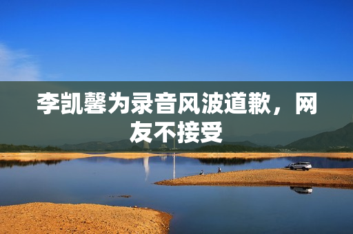 李凯馨为录音风波道歉，网友不接受