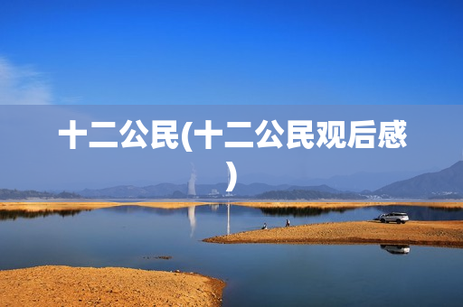 十二公民(十二公民观后感)