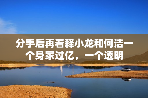 分手后再看释小龙和何洁一个身家过亿，一个透明