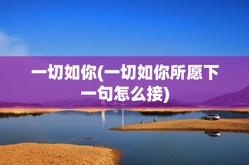 一切如你(一切如你所愿下一句怎么接)