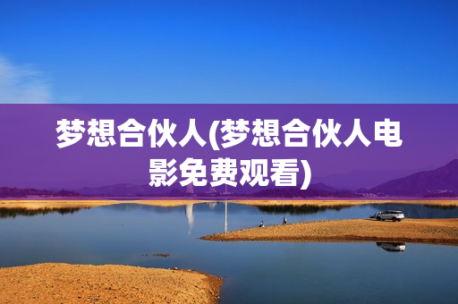 梦想合伙人(梦想合伙人电影免费观看)