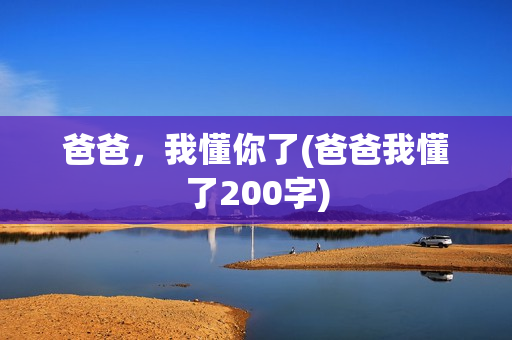 爸爸，我懂你了(爸爸我懂了200字)