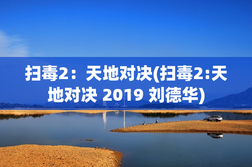 扫毒2：天地对决(扫毒2:天地对决 2019 刘德华)
