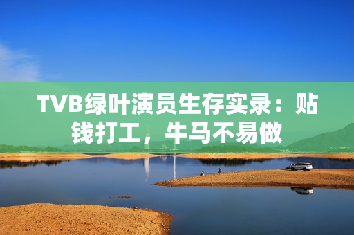 TVB绿叶演员生存实录：贴钱打工，牛马不易做