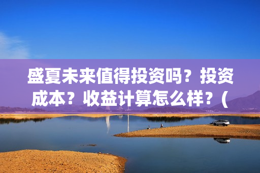 盛夏未来值得投资吗？投资成本？收益计算怎么样？(盛夏未来 投资方)