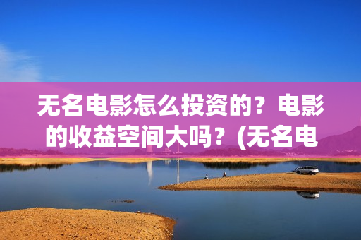 无名电影怎么投资的？电影的收益空间大吗？(无名电影演员表)