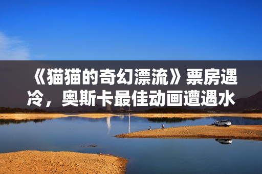 《猫猫的奇幻漂流》票房遇冷，奥斯卡最佳动画遭遇水土不服