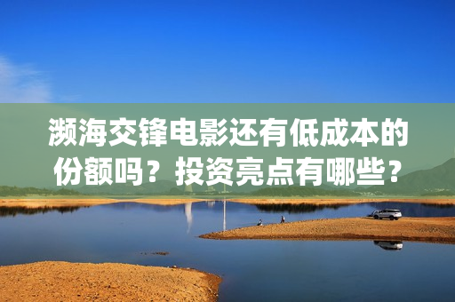濒海交锋电影还有低成本的份额吗？投资亮点有哪些？(濒海交锋电影怎么样)