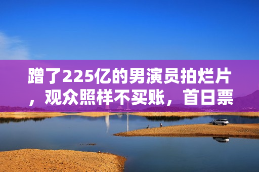 蹭了225亿的男演员拍烂片，观众照样不买账，首日票房仅247万