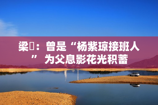 梁琤：曾是“杨紫琼接班人” 为父息影花光积蓄