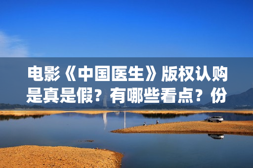 电影《中国医生》版权认购是真是假？有哪些看点？份额多少钱一份？(电影《中国医生》)