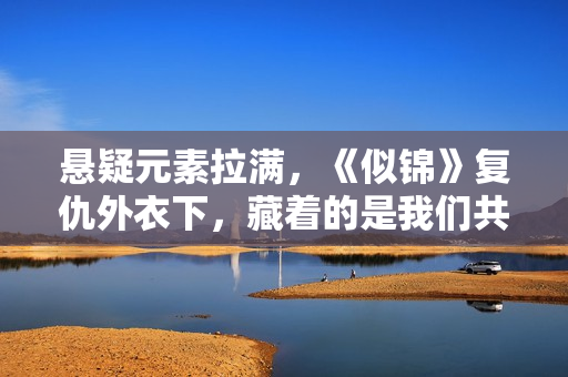 悬疑元素拉满，《似锦》复仇外衣下，藏着的是我们共通的价值证明