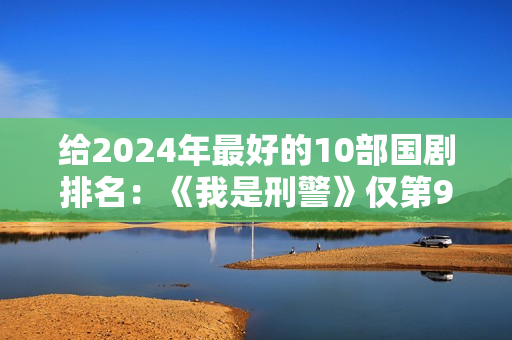 给2024年最好的10部国剧排名：《我是刑警》仅第9