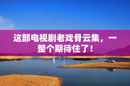 这部电视剧老戏骨云集，一整个期待住了！